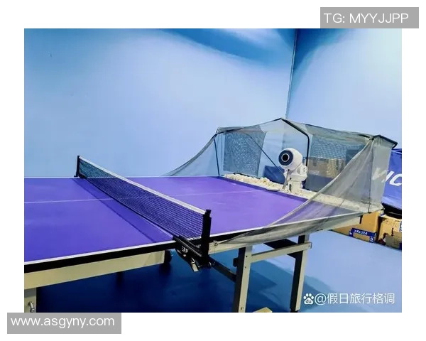 王秀英独家分享乒乓球技巧与心得体会助你提升球技的秘密秘诀